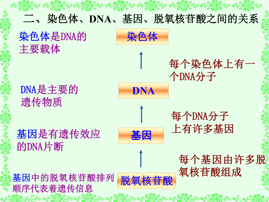 高中生物人教版必修二第四章第4节 基因是有遗传效应的DNA片段   课件(19张PPT)
