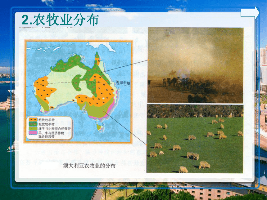 人教版地理七年级下册课件8.4澳大利亚（共22张PPT）