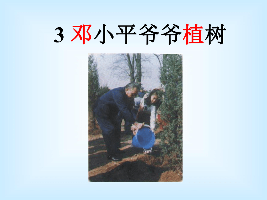 （人教新课标）一年级语文下册课件 邓小平爷爷植树 6