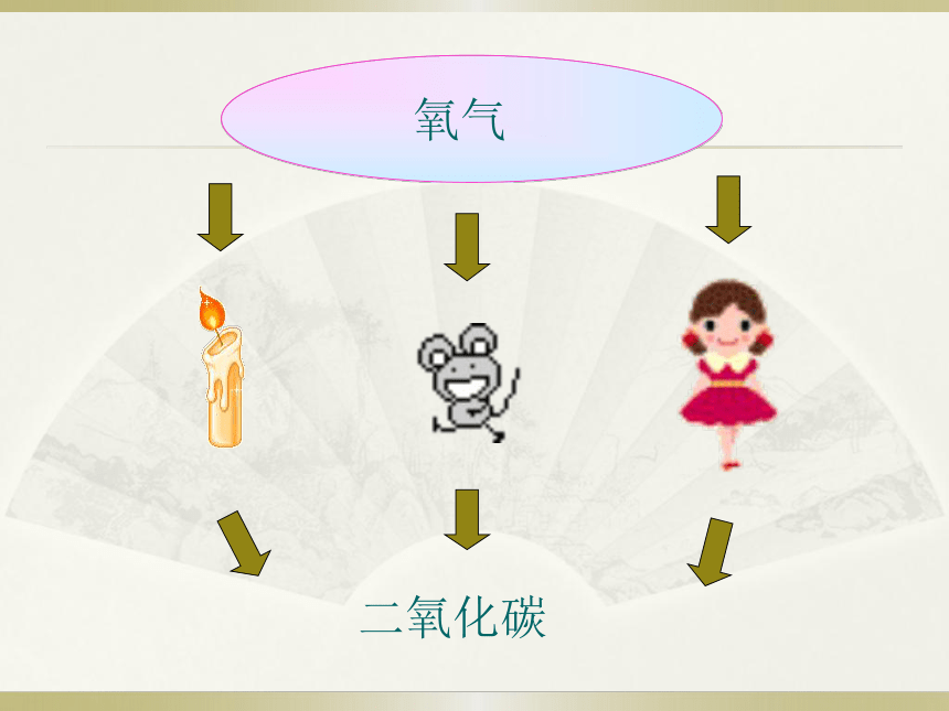 第三单元 第五章 第一节 光合作用吸收二氧化碳释放氧气 课件（共33张PPT）