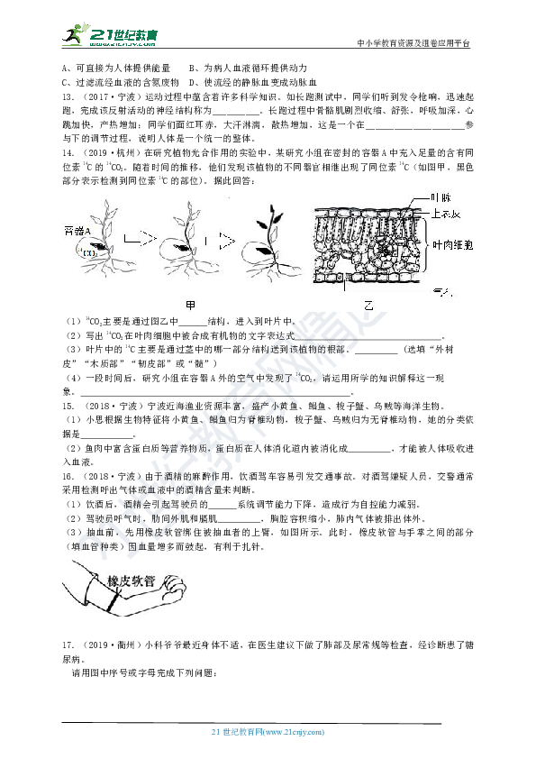 【备考2020】科学三年中考真题精编 生命科学02生物体内物质与能量的转换（2）