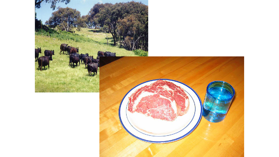第三节 以畜牧业为主的农业地域类型 课件(共32张幻灯片)