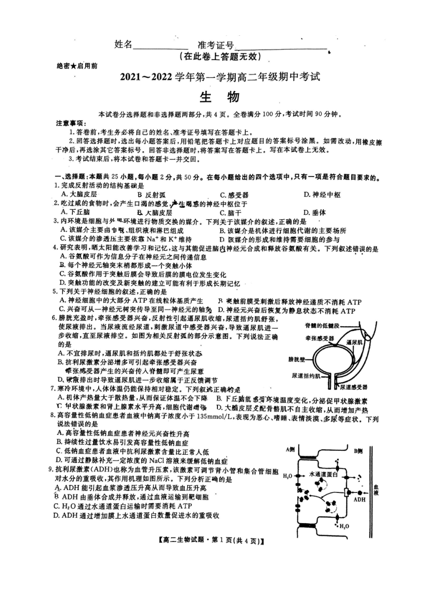 陕西省安康市2021-2022学年高二上学期 期中统考 生物试卷（图片版无答案）