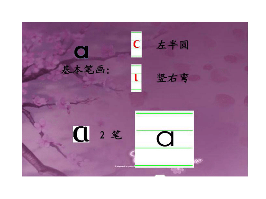 漢語拼音1aoe1課件14張