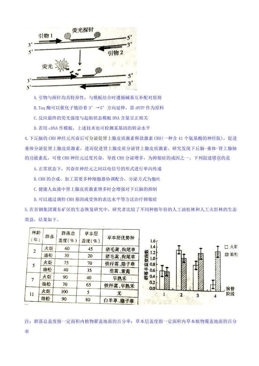 北京市朝阳区2018届高三3月综合练习（一模）理科综合能力测试 Word版含答案