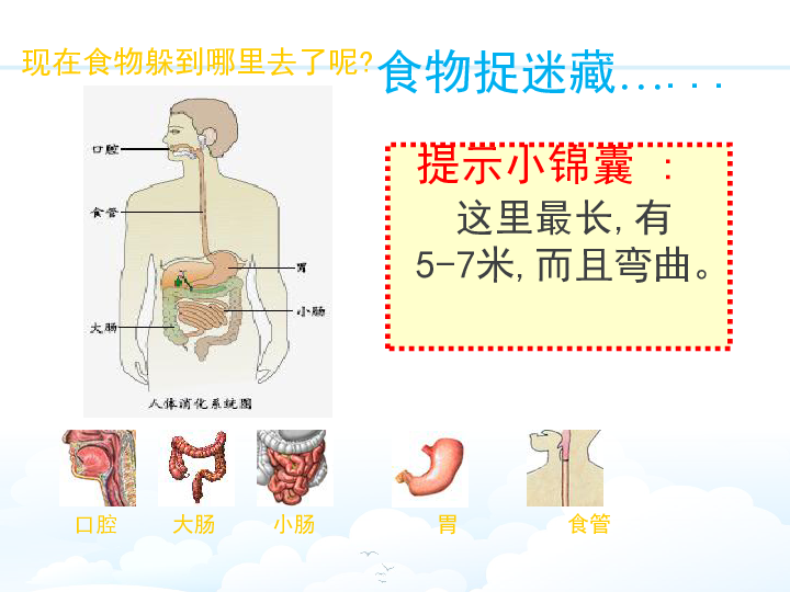 6 食物的消化 课件（13张PPT）+教案