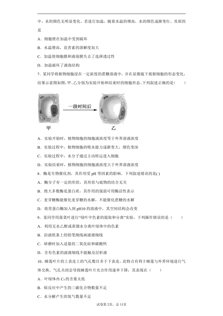 浙江省宁波市2020-2021学年高一下学期期中生物试题（word版 含解析）