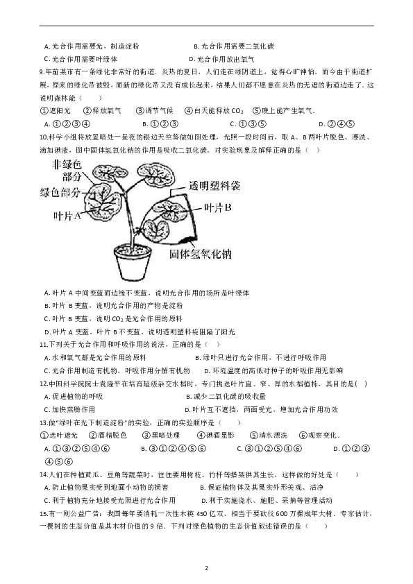 3.6 光合作用 提高练习