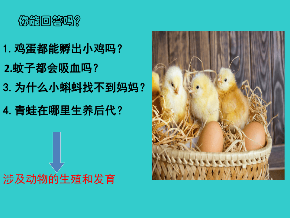 蚊子都会吸血吗?3.为什么小蝌蚪找不到妈妈?4.青蛙在哪里生养后代?