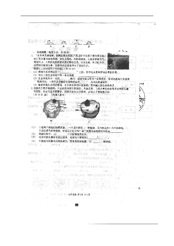 黑龙江省巴彦县第二中学2018-2019学年七年级上学期期中考试生物试题（图片版，含答案）