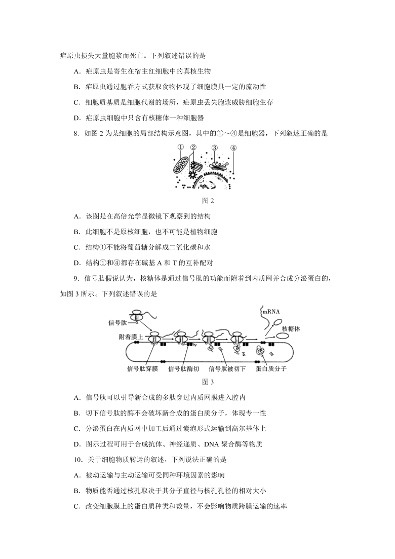 云南省大理州祥云县2019-2020学年高二下学期期末统测生物试题       含答案