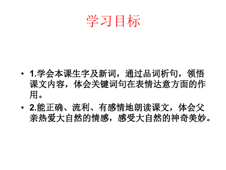 三年级上册语文课件-父亲、树林和鸟 人教部编版 (共19张PPT)