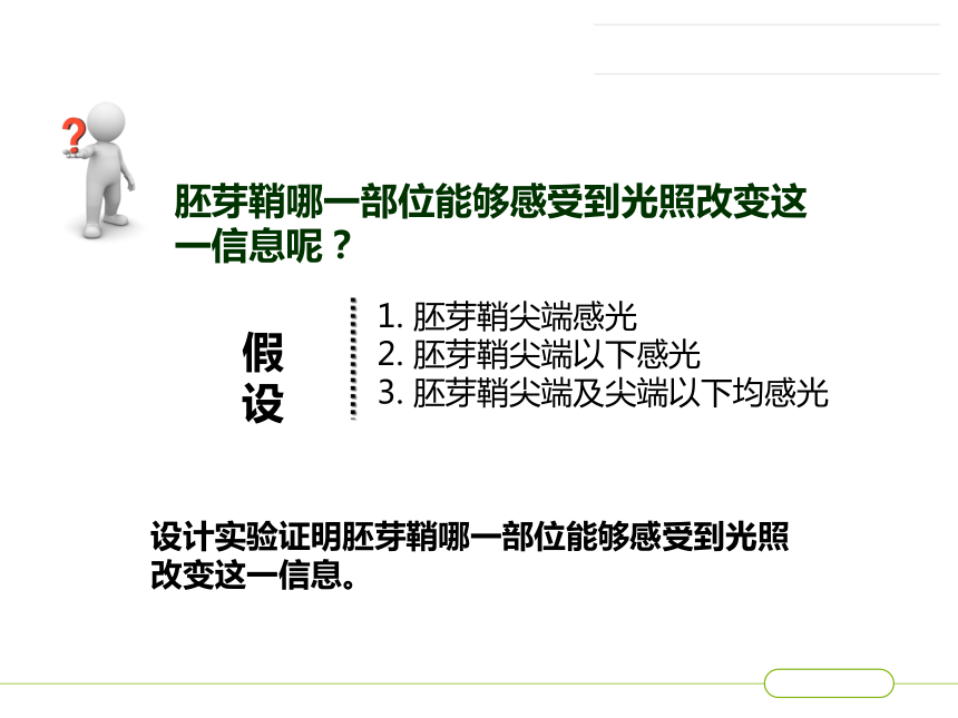 《植物生长素的探究史--植物生长发育的调节》优质课件 (共20张PPT)