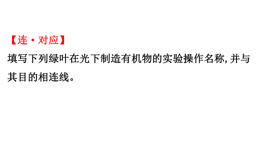 2021-2022学年人教版生物中考复习之绿色植物是生物圈中有机物的制造者  绿色植物与生物圈中的碳-氧平衡  爱护植被,绿化祖国课件（58张PPT）