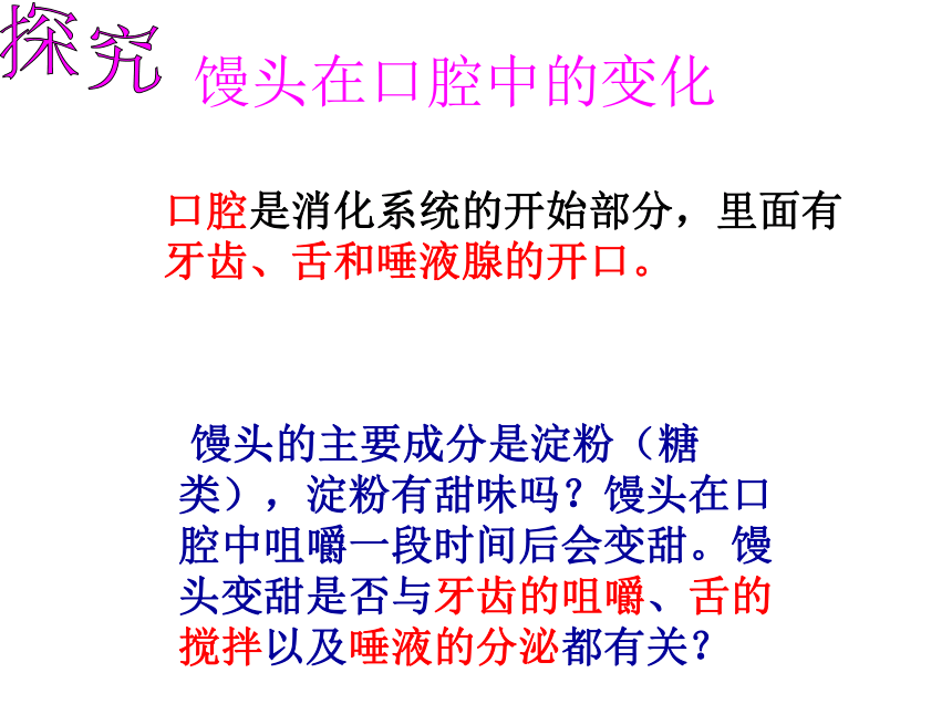 七年级生物下册：4.2.2消化和吸收课件(共29张PPT)