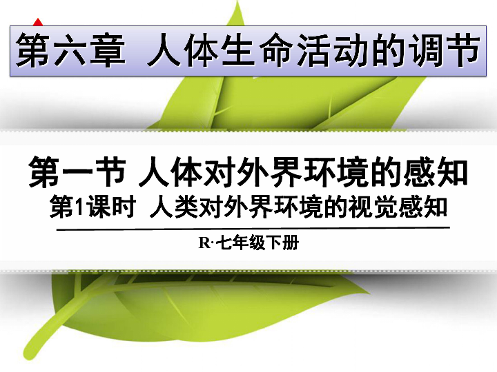 人教版生物七年下6.1人体对外界环境的感知 课件   (共36张PPT)