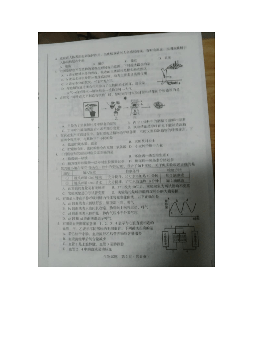 2018年山东省临沂市初中学业水平考试生物试题（图片版，无答案）