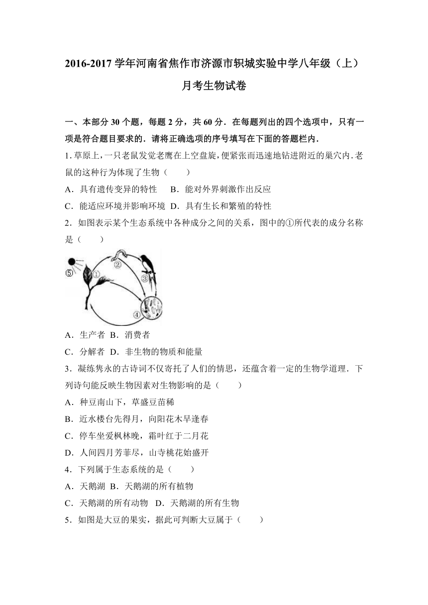 河南省焦作市济源市轵城实验中学2016-2017学年八年级（上）月考生物试卷（解析版）