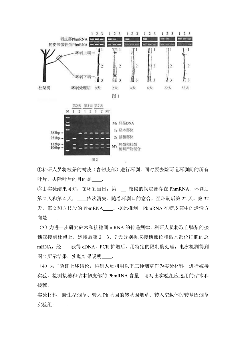 2017年北京市海淀区高考生物二模试卷（解析版）