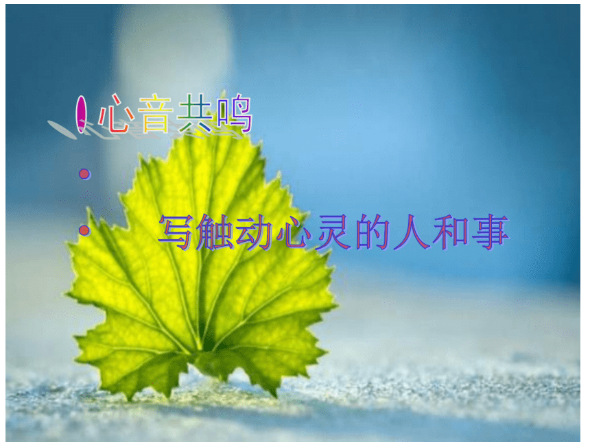 课件预览