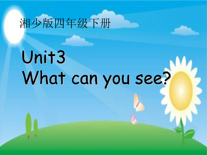 Unit 3 What can you see？ 课件（21张PPT）