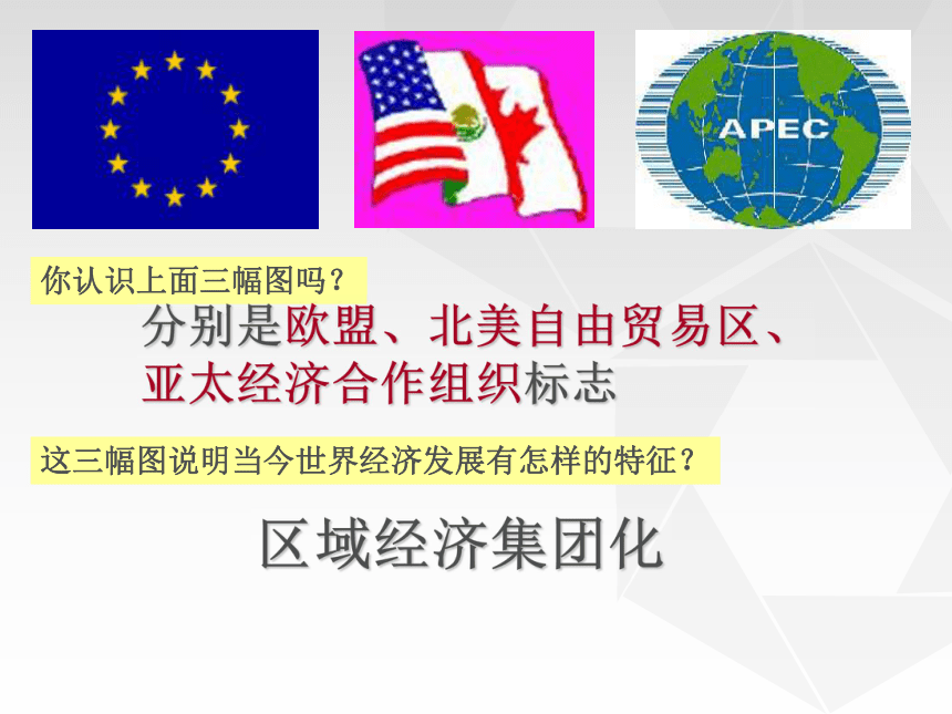 2017-2018年人教版高中历史必修二第八单元第二十三课 世界经济的区域集团化 课件 (共29张PPT)