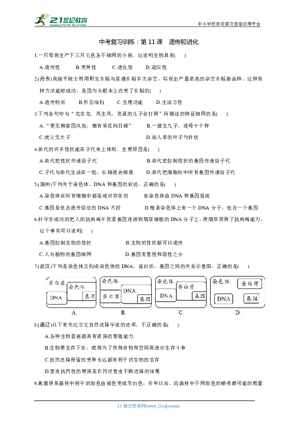 第11课 遗传与进化（含答案）