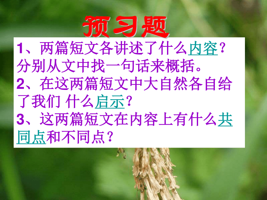 2015-2016鄂教版语文七年级下册第二单元课件：第10课《大自然的启示》（共46张PPT）