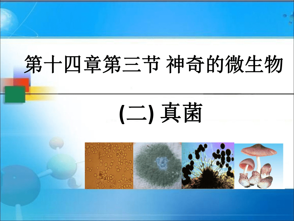 (雙選)下列生物中與蘑菇的營養方式相同的是(d.大腸桿菌c.酵母菌b.