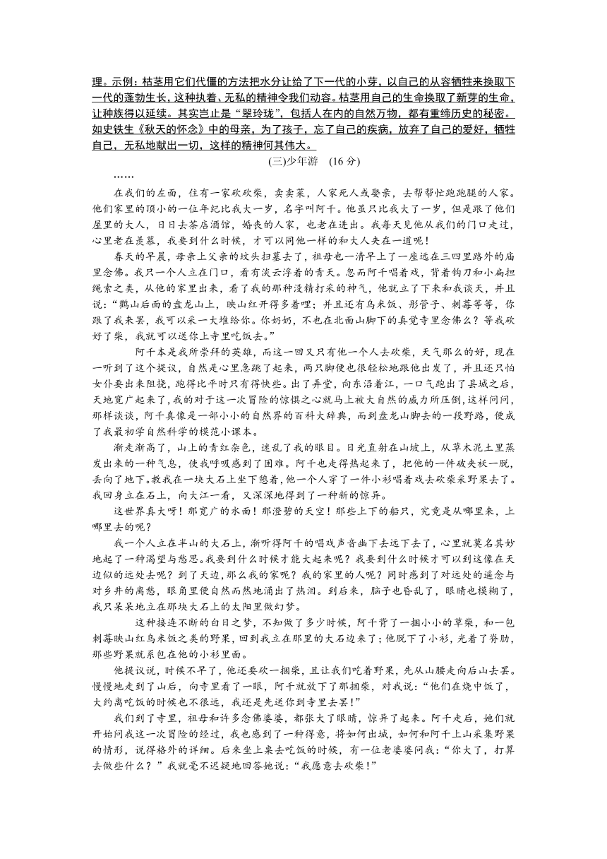 2018年杭州语文中考复习训练十四散文阅读