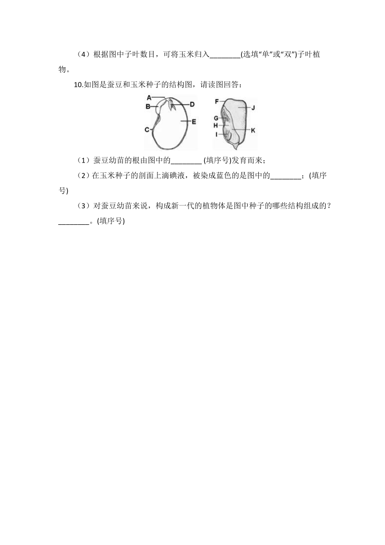 浙教版科學七年級下冊重難點加強練種子的結構專題練習含解析