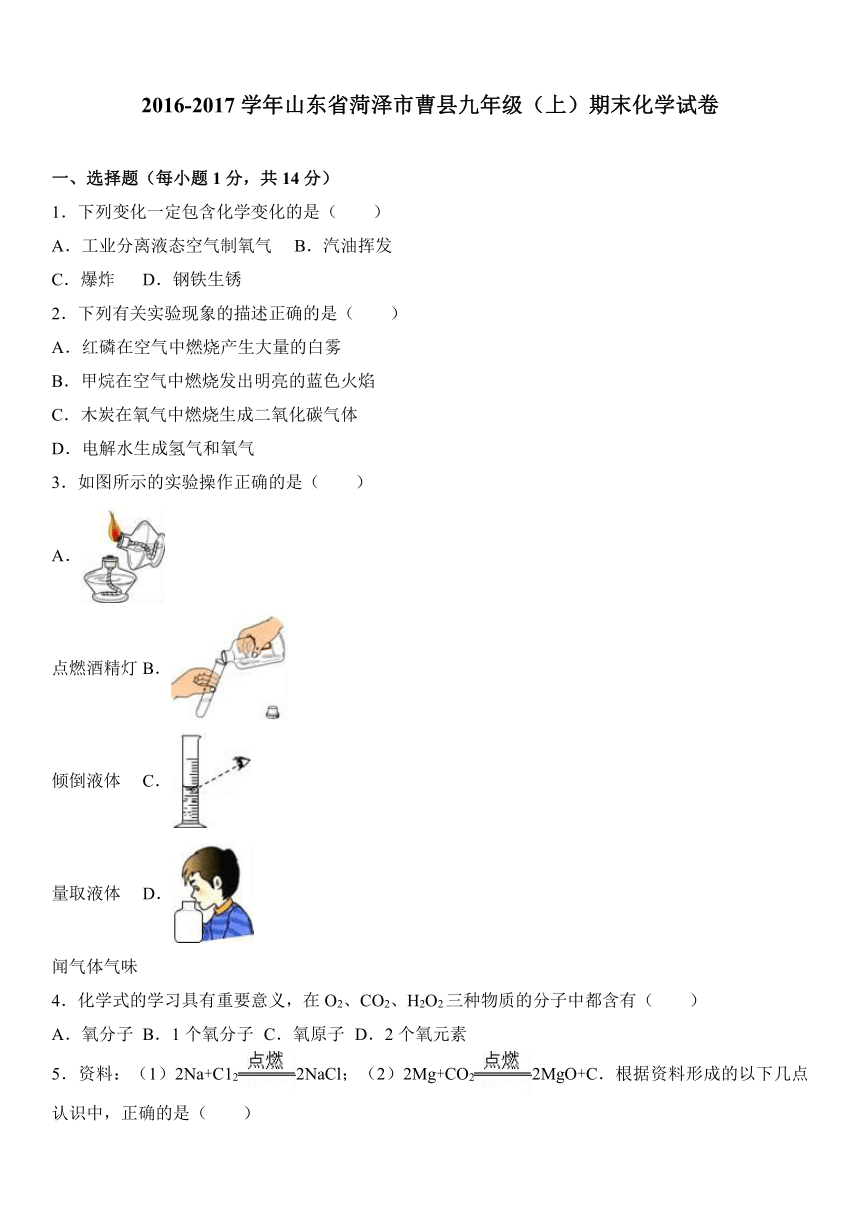 山东省菏泽市曹县2016-2017学年九年级（上）期末化学试卷（解析版）