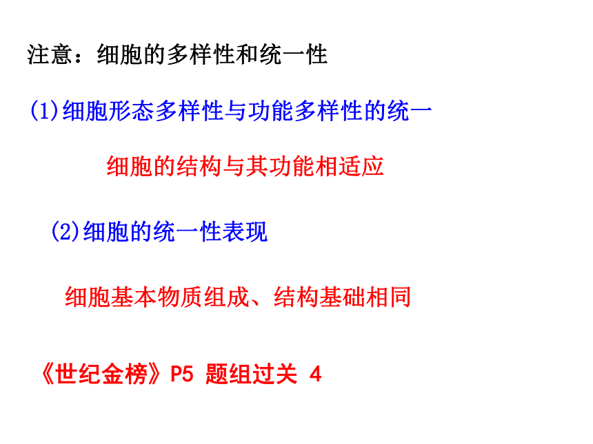 专题2 细胞的基本结构28PPT