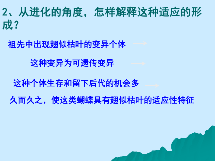 人教版高中生物必修二  7.1现代生物进化理论的由来（27张）