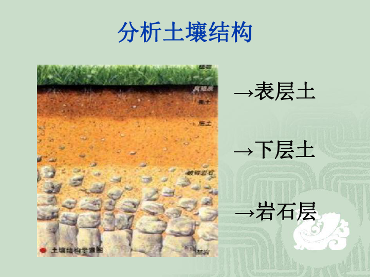 1.3肥沃的土壤 课件（15张PPT）