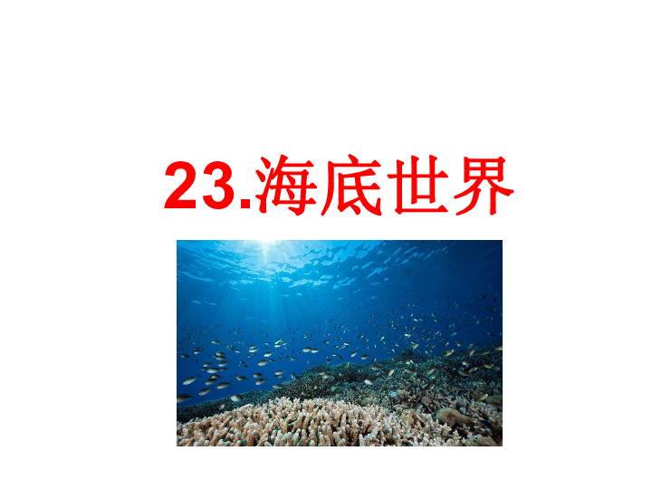 人教部编版三年级下册语文课件：23课 海底世界(共21张PPT)
