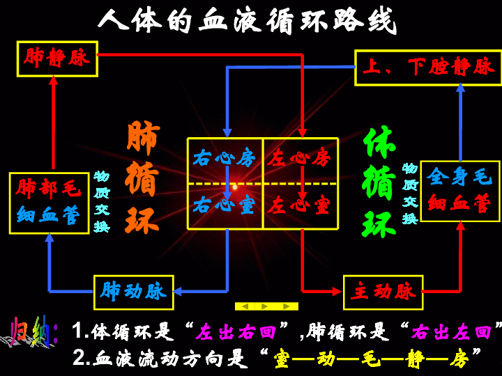 华师大版八年级上册第七章人体的新陈代谢3体内物质的运输