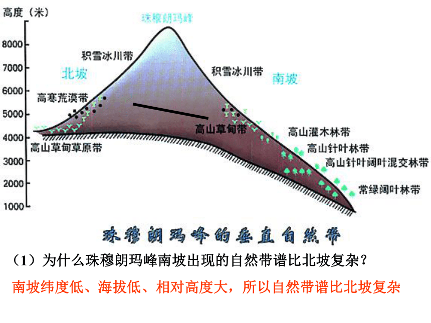 云南省普洱中学鲁教版高中地理必修1课件：地理环境的差异性（共30张PPT）