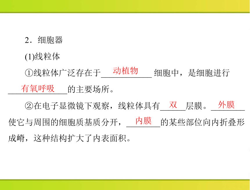 2013年《随堂优化训练》第3章第2节细胞器——系统内的分工合作