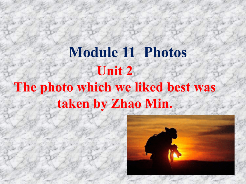 Module11 unit2 The photo which we liked best was taken by Zhao Min 课件