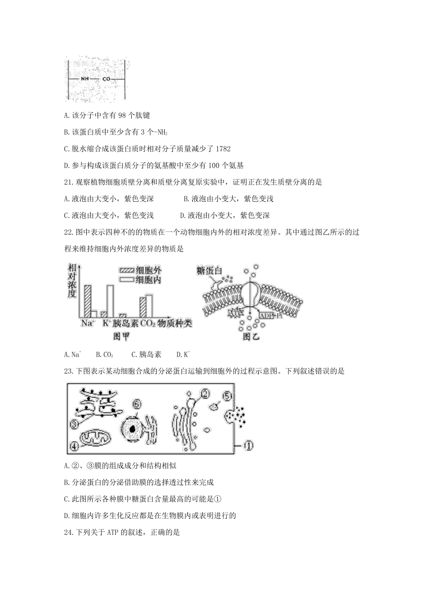 吉林省舒兰市2016-2017学年高一上学期期末考试生物试题 Word版含答案