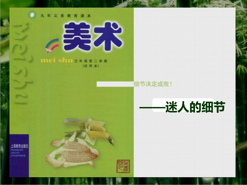 滬教版三年級下冊美術第1課迷人的細節課件18張ppt