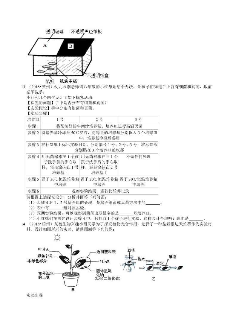 广西2018-2020年近三年中考生物试题分类（8）——生物实验(含解析)