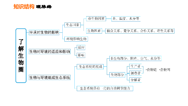 了解生物圈的思维导图图片