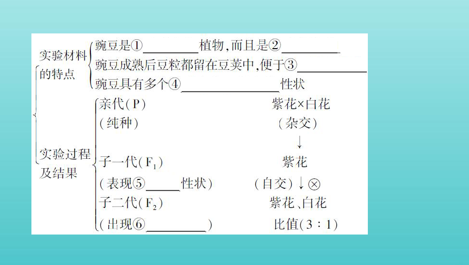 （浙江选考）2020版高考生物一轮复习第11讲分离定律课件（53张ppt）