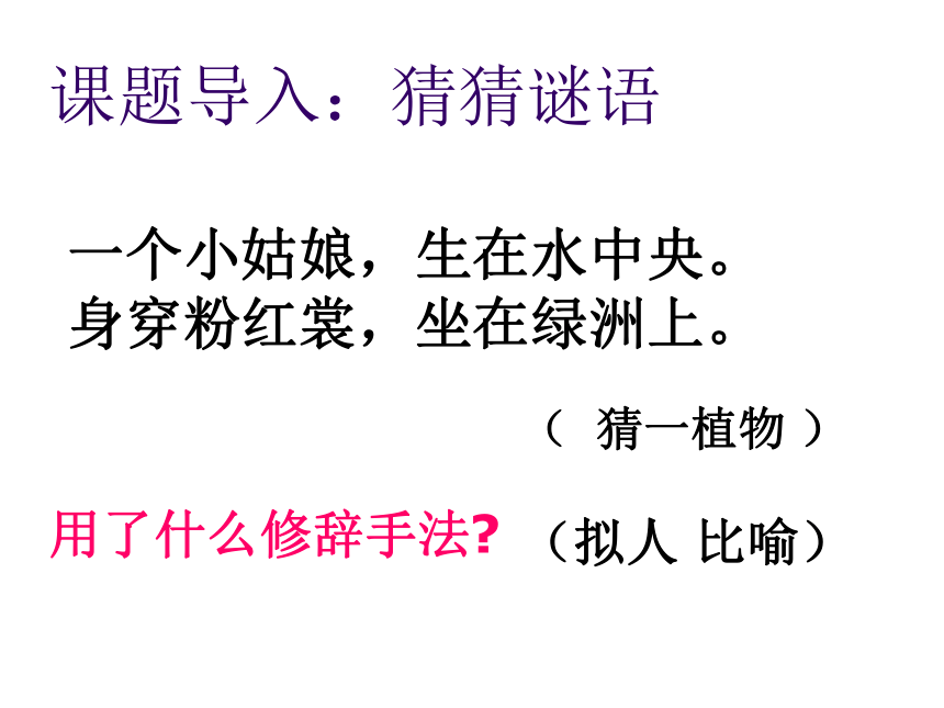 2021年安徽省中考语文二轮专题复习：修辞（共56张PPT）