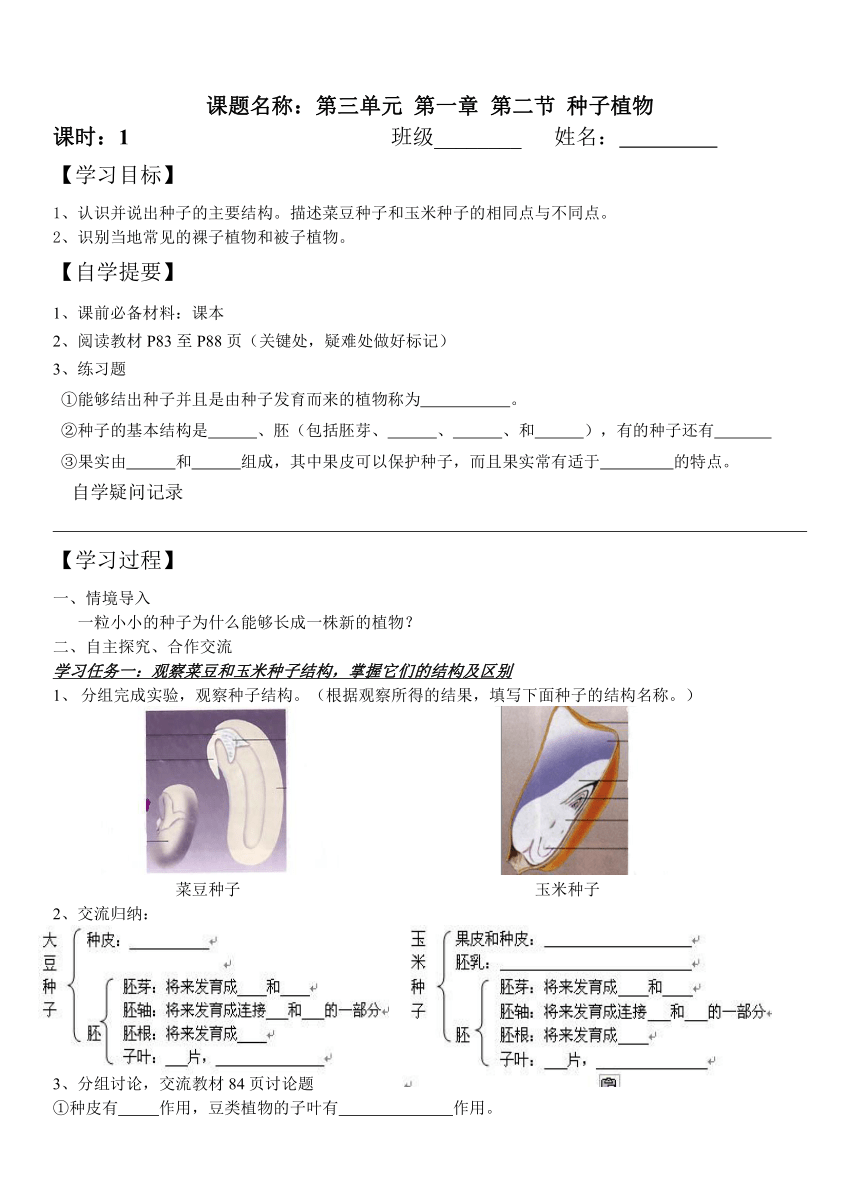 种子植物练习（无答案）