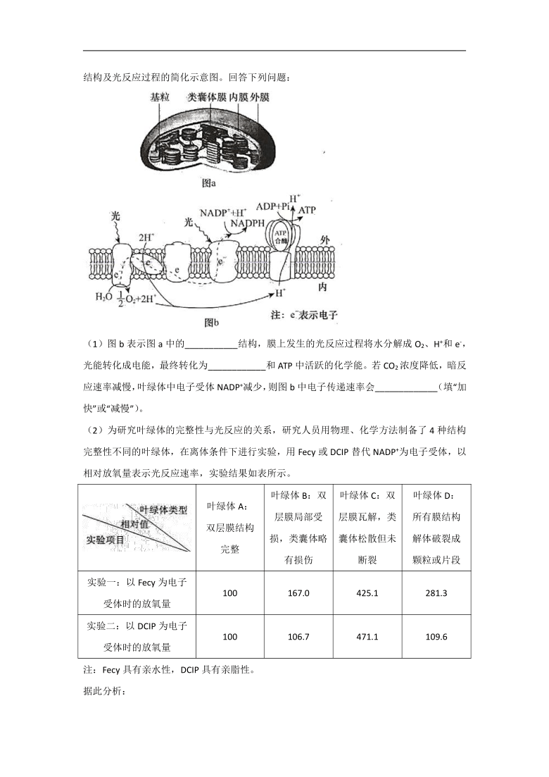 2021年高考生物真题模拟试题专题汇编细胞代谢（word版+答案+解析）