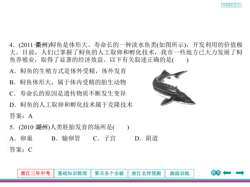 2013年浙江中考第一轮复习生命科学第八章人类及动物的生殖与发育
