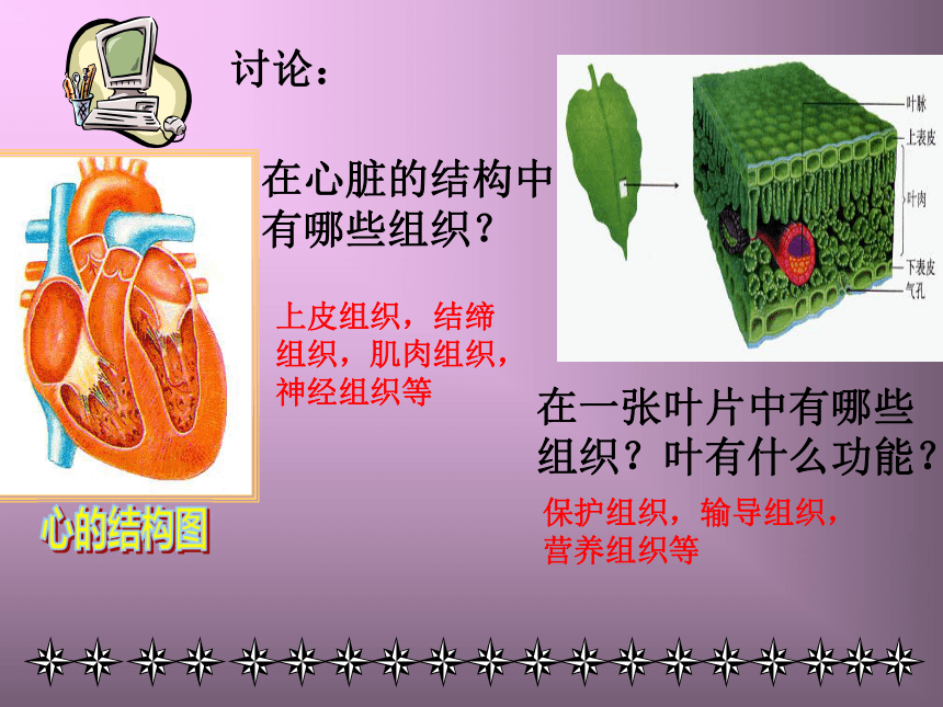 组织器官和系统(浙江省宁波市)